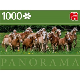 70-18827_haflinger-horses-pano