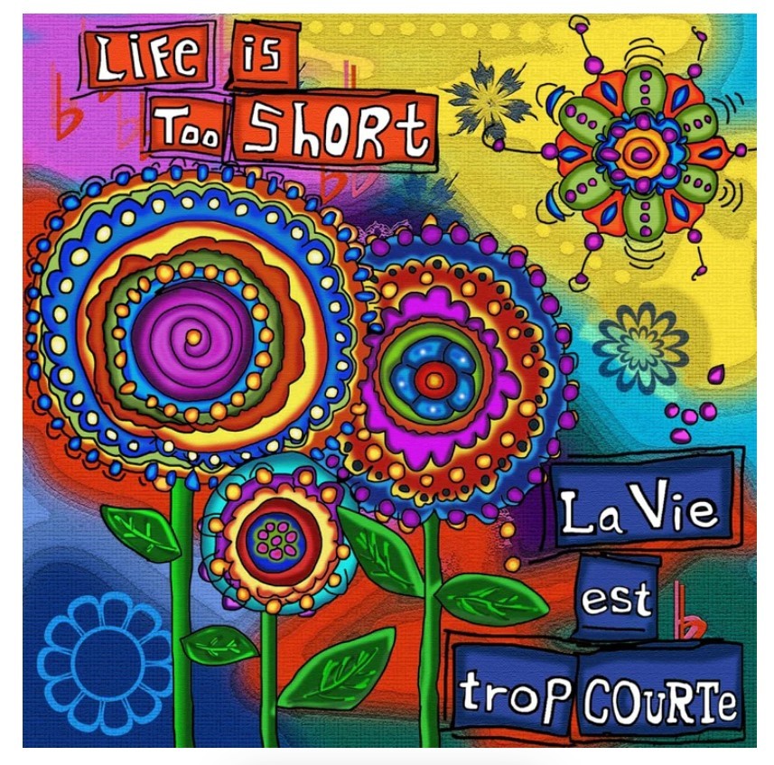 LA VIE EST TROP COURTE | Passe-Temps 3000