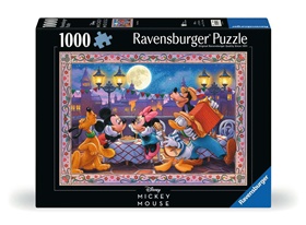 12000496