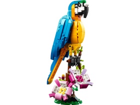 31136