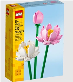 40647