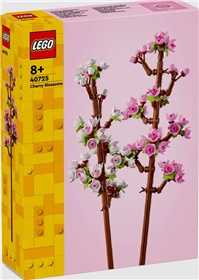 40725