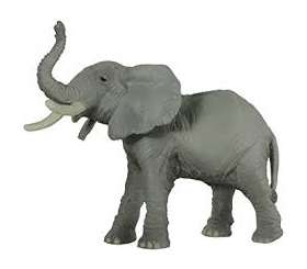 50041-elephant-barrissant