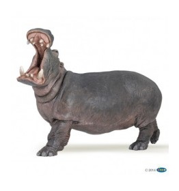 50051-hippopotame