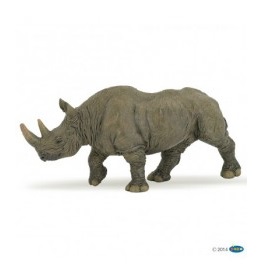 50066-rhinoceros-noir