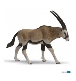50139-antilope-oryx