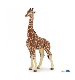 50149-girafe-male