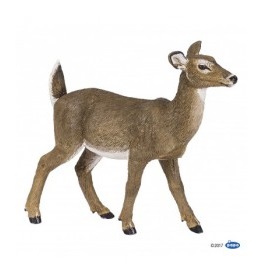 50218-biche-de-virginie