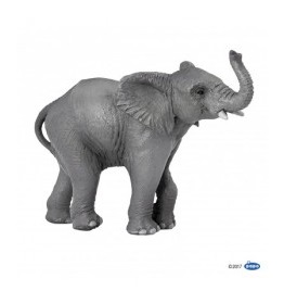 50225-jeune-elephant