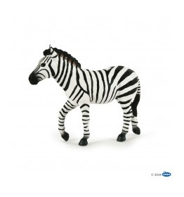 50249-zebre-male