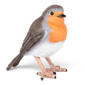 50275