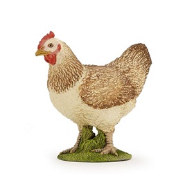 51159-poule