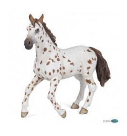 51509-jument-appaloosa-brune