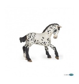 51540-poulain-appaloosa-noir