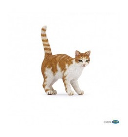 54031-chat-roux