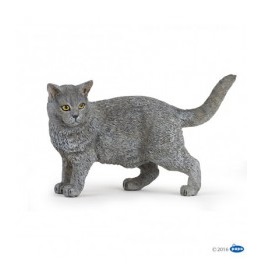 54040-chartreux