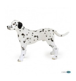 54040-dalmatien