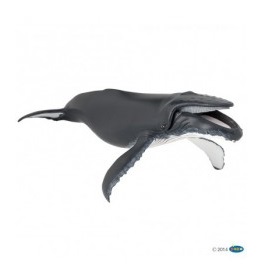 56001-baleine-a-bosse