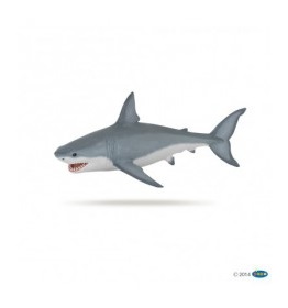 56002-requin-blanc