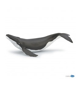 56035-baleineau