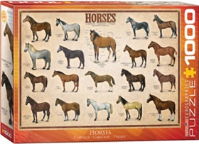 6000-0078-horses