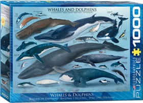 6000-0082-whales-dolphins