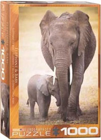 6000-0270-elephant-baby