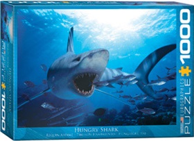 6000-0299-hungry-shark