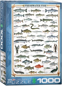 6000-0312-freshwater-fish
