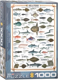 6000-0313-sea-fish