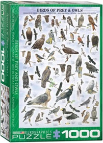 6000-0316-birds-of-prey-and-owls