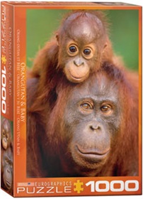 6000-0638-orangutan-baby