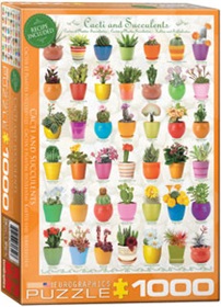 6000-0654-cacti-succulents