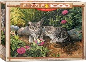 6000-0796-double-trouble-kittens