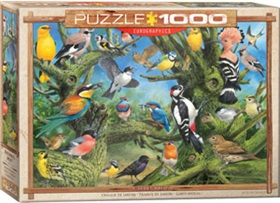 6000-0967-garden-birds