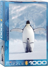 6000-1246-penguin-chick