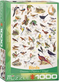 6000-1259-birds