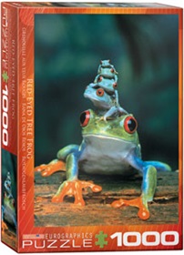 6000-3004-red-eyed-tree-frog