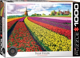 6000-5326-tulip-field-netherlands