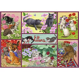 71-11211_playful-kittens
