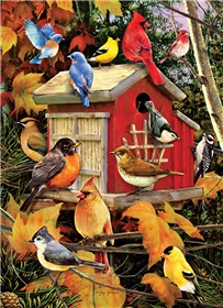 80100-fall-birds