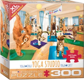 8300-5453-yoga-studio