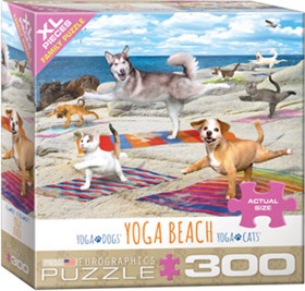 8300-5456-yoga-beach