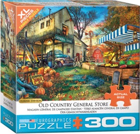 8300-5565-old-country-general-store