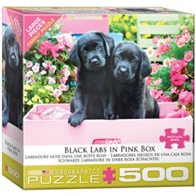 8500-5462-black-labs-in-pink-box