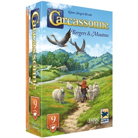 carcassonne9