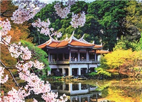 d0-18361_fleurs-au-japon