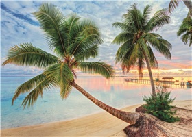 d0-18363_polynesie-francaise