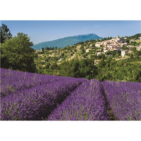 d0-18397_provence-aurel