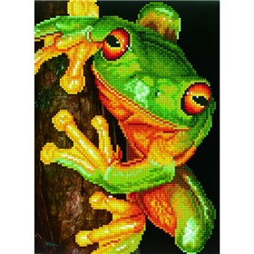 dd7-031-green-tree-frog-700x700